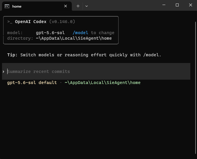 Připravený terminál OpenAI Codex CLI